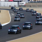 Many MINIs